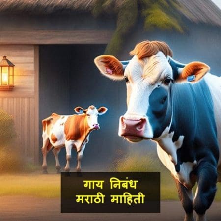  गाय बद्दल माहिती निबंध मराठी 2023 | Cow Information In Marathi Language