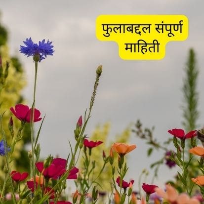 फुलाबद्दल संपूर्ण माहिती | Flower Information in Marathi Best 600 शब्द