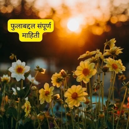 Flower Information in Marathi