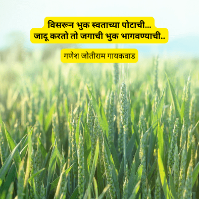शेतकरी बाप आणि जगाचा पोशिंदा | 2 Best Marathi Farmer Poems