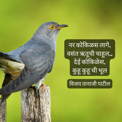 nature poem meaning in marathi